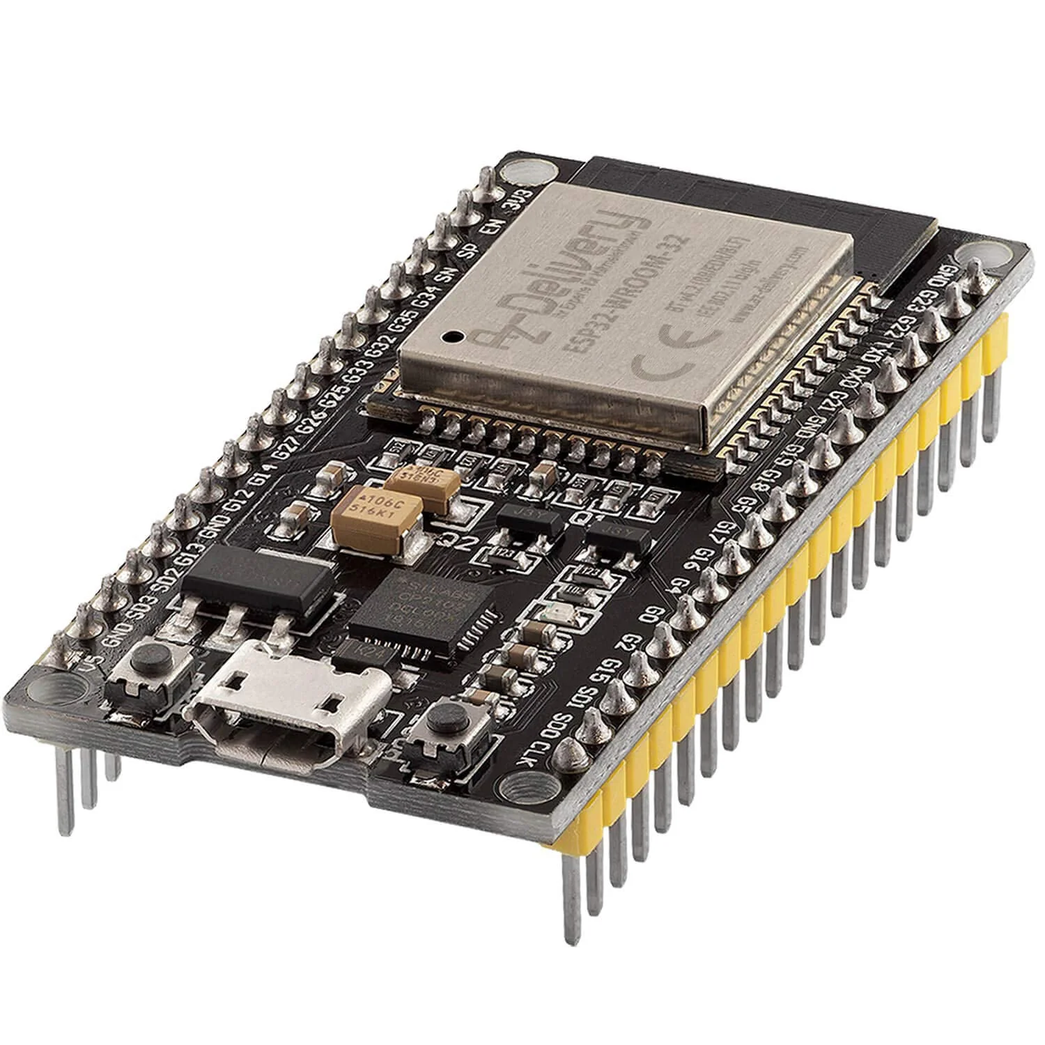 Esp 32